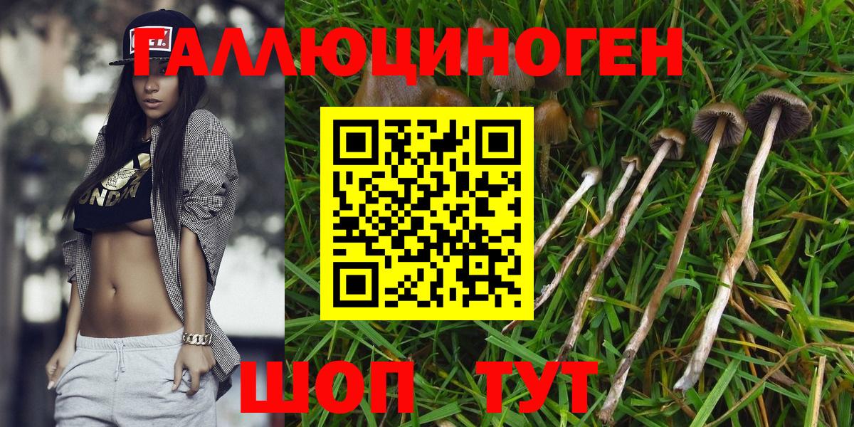 Партизанск  Псилоцибиновые грибы Psilocybe  Псилоцибиновые грибы MAGIC MUSHROOMS  Вход с VPN 